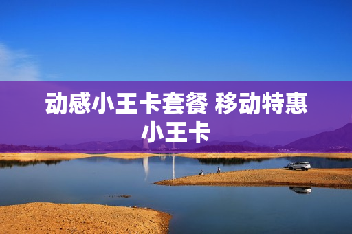 动感小王卡套餐 移动特惠小王卡