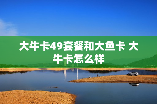 大牛卡49套餐和大鱼卡 大牛卡怎么样