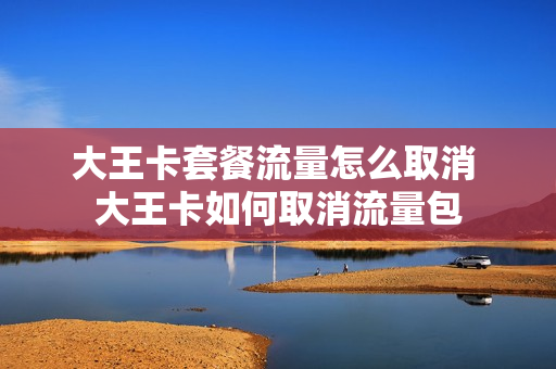 大王卡套餐流量怎么取消 大王卡如何取消流量包