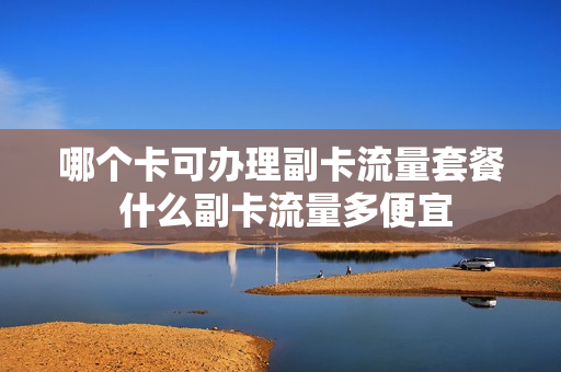 哪个卡可办理副卡流量套餐 什么副卡流量多便宜