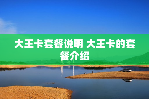 大王卡套餐说明 大王卡的套餐介绍