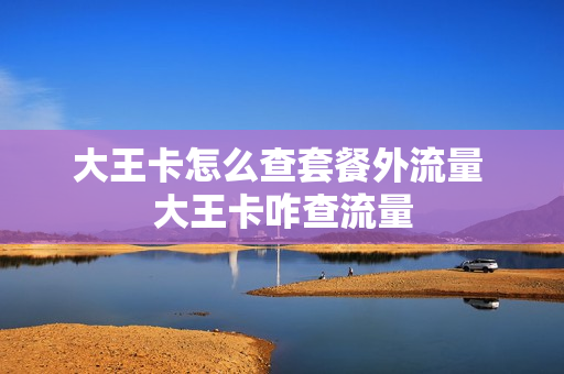大王卡怎么查套餐外流量 大王卡咋查流量