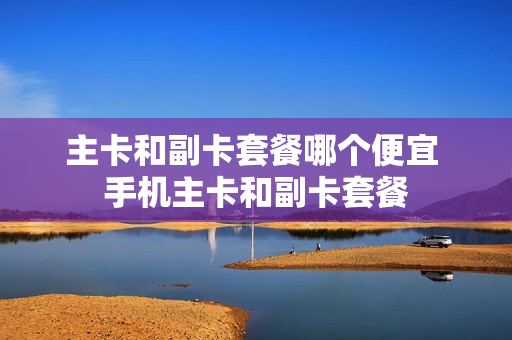 主卡和副卡套餐哪个便宜 手机主卡和副卡套餐