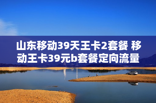 山东移动39天王卡2套餐 移动王卡39元b套餐定向流量国内定向流量