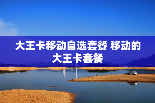 大王卡移动自选套餐 移动的大王卡套餐
