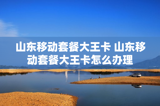 山东移动套餐大王卡 山东移动套餐大王卡怎么办理