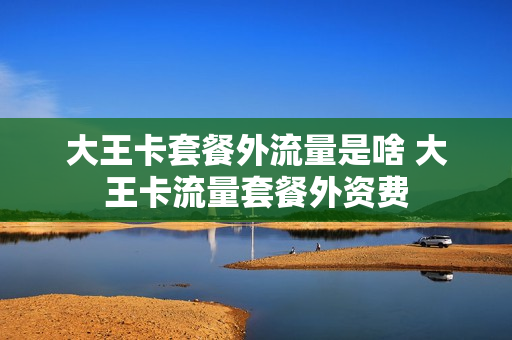 大王卡套餐外流量是啥 大王卡流量套餐外资费