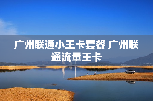 广州联通小王卡套餐 广州联通流量王卡