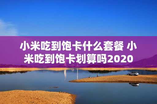 小米吃到饱卡什么套餐 小米吃到饱卡划算吗2020
