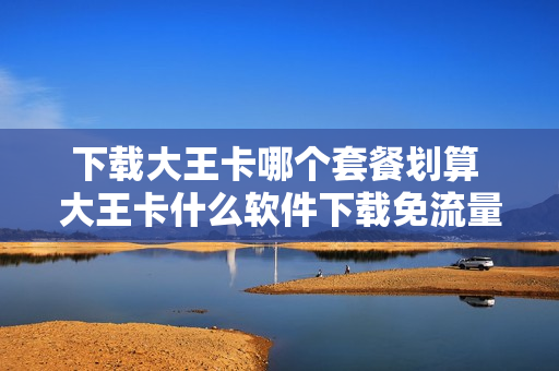 下载大王卡哪个套餐划算 大王卡什么软件下载免流量