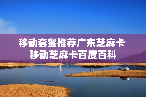 移动套餐推荐广东芝麻卡 移动芝麻卡百度百科