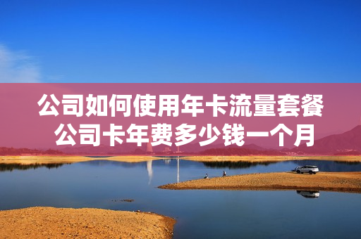 公司如何使用年卡流量套餐 公司卡年费多少钱一个月