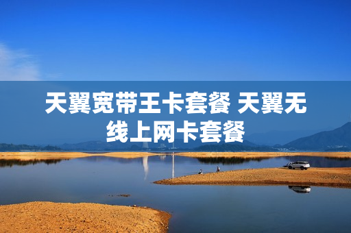 天翼宽带王卡套餐 天翼无线上网卡套餐