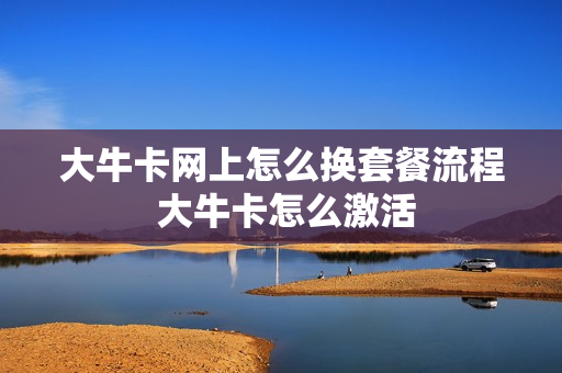 大牛卡网上怎么换套餐流程 大牛卡怎么激活