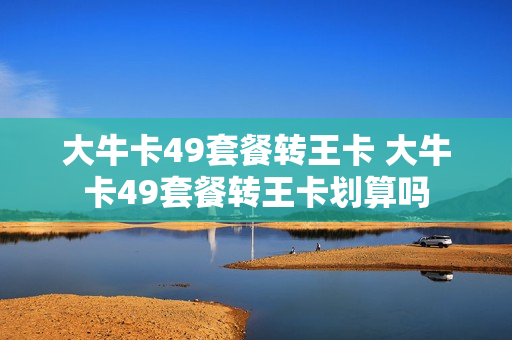 大牛卡49套餐转王卡 大牛卡49套餐转王卡划算吗