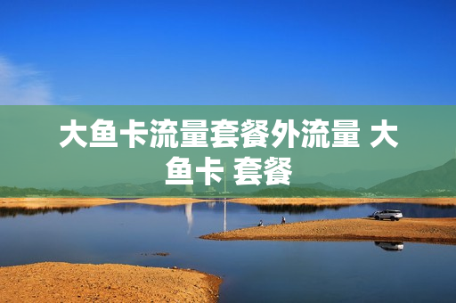 大鱼卡流量套餐外流量 大鱼卡 套餐