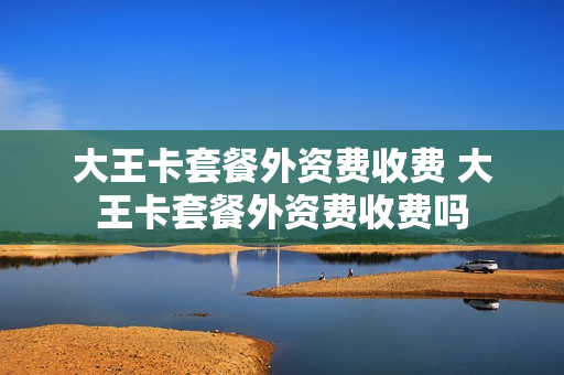 大王卡套餐外资费收费 大王卡套餐外资费收费吗