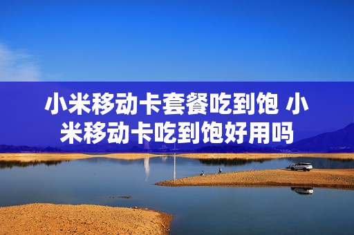 小米移动卡套餐吃到饱 小米移动卡吃到饱好用吗