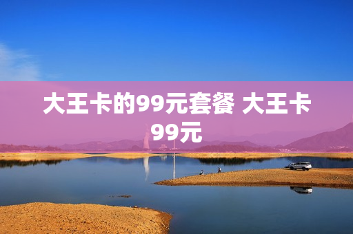 大王卡的99元套餐 大王卡99元