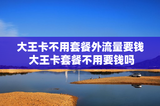 大王卡不用套餐外流量要钱 大王卡套餐不用要钱吗