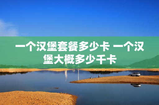 一个汉堡套餐多少卡 一个汉堡大概多少千卡