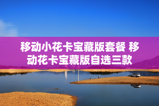 移动小花卡宝藏版套餐 移动花卡宝藏版自选三款