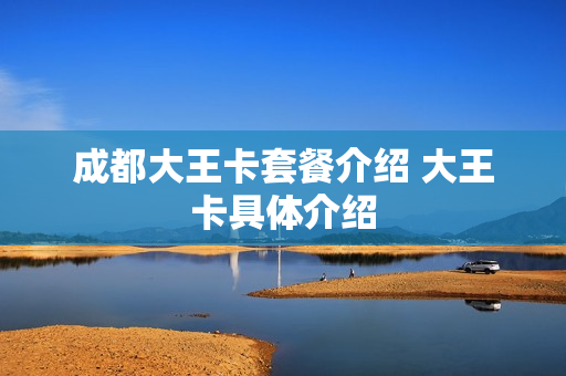 成都大王卡套餐介绍 大王卡具体介绍