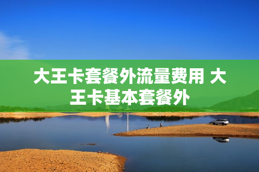 大王卡套餐外流量费用 大王卡基本套餐外