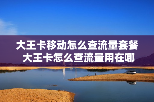 大王卡移动怎么查流量套餐 大王卡怎么查流量用在哪里