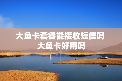 大鱼卡套餐能接收短信吗 大鱼卡好用吗