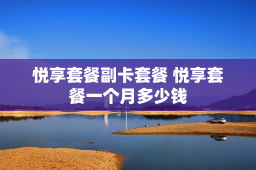 悦享套餐副卡套餐 悦享套餐一个月多少钱