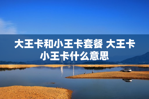 大王卡和小王卡套餐 大王卡小王卡什么意思