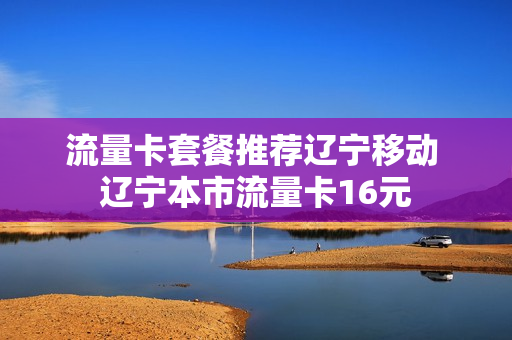 流量卡套餐推荐辽宁移动 辽宁本市流量卡16元