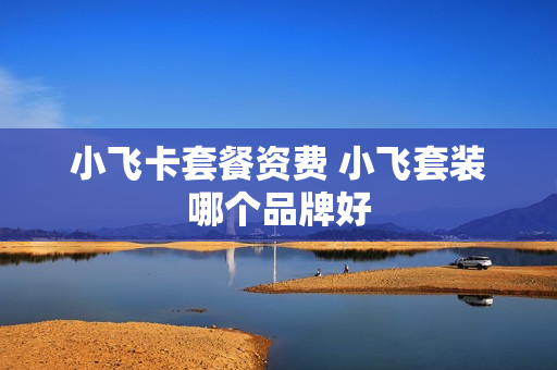 小飞卡套餐资费 小飞套装哪个品牌好