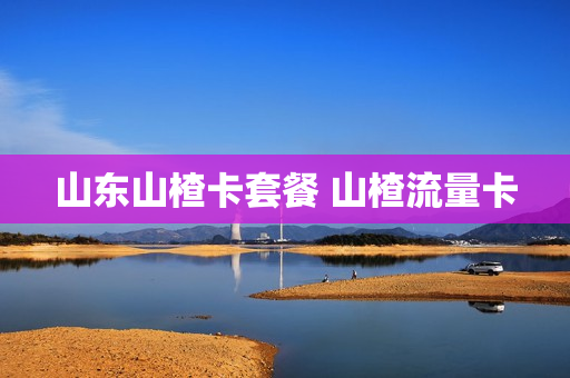 山东山楂卡套餐 山楂流量卡