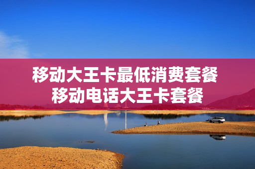 移动大王卡最低消费套餐 移动电话大王卡套餐
