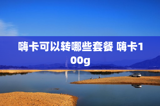 嗨卡可以转哪些套餐 嗨卡100g