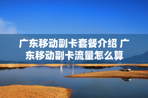 广东移动副卡套餐介绍 广东移动副卡流量怎么算