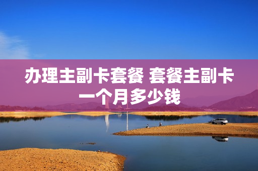 办理主副卡套餐 套餐主副卡一个月多少钱