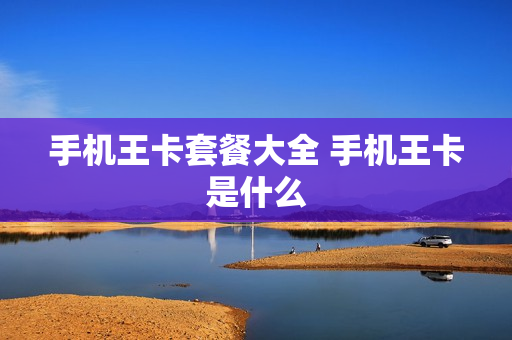 手机王卡套餐大全 手机王卡是什么