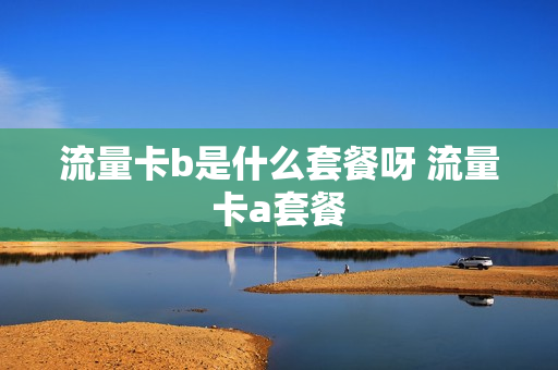 流量卡b是什么套餐呀 流量卡a套餐