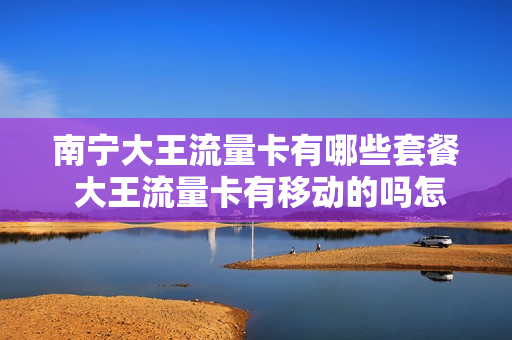 南宁大王流量卡有哪些套餐 大王流量卡有移动的吗怎么用