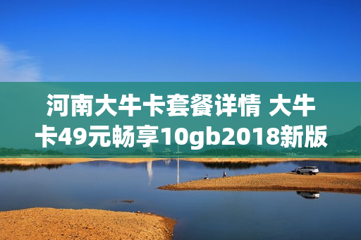 河南大牛卡套餐详情 大牛卡49元畅享10gb2018新版 b类