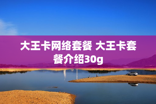 大王卡网络套餐 大王卡套餐介绍30g