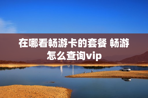 在哪看畅游卡的套餐 畅游怎么查询vip