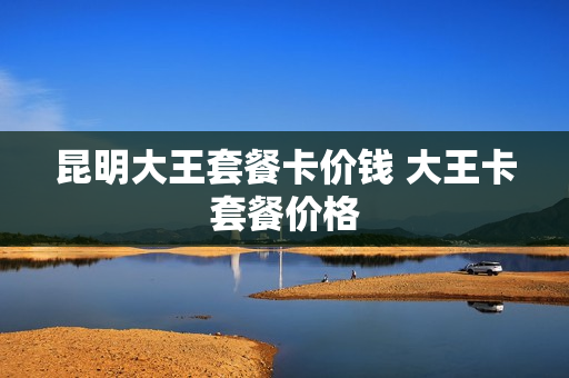 昆明大王套餐卡价钱 大王卡套餐价格
