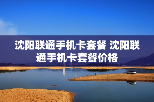 沈阳联通手机卡套餐 沈阳联通手机卡套餐价格