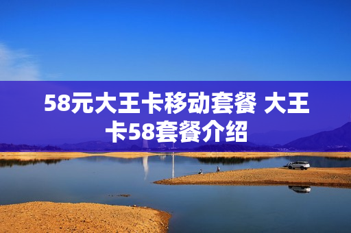 58元大王卡移动套餐 大王卡58套餐介绍