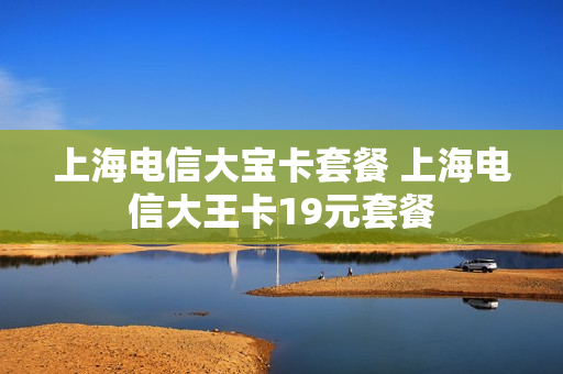 上海电信大宝卡套餐 上海电信大王卡19元套餐