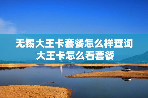 无锡大王卡套餐怎么样查询 大王卡怎么看套餐